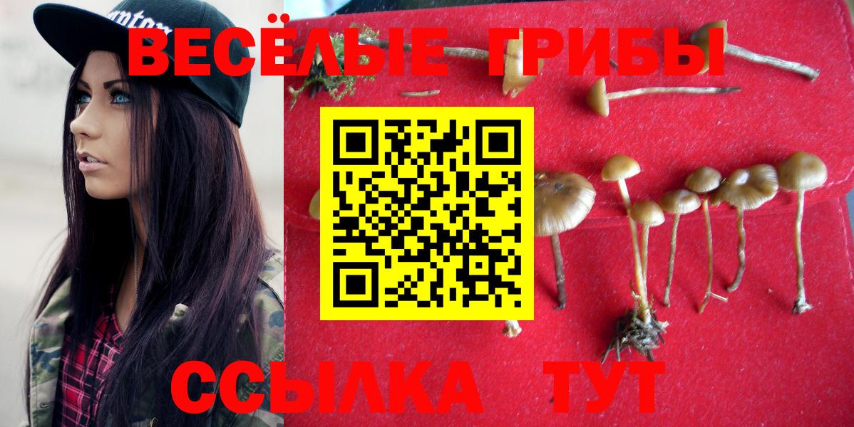 Псилоцибиновые грибы прущие грибы  Вход с VPN  Златоуст  Галлюциногенные грибы Magic Shrooms 